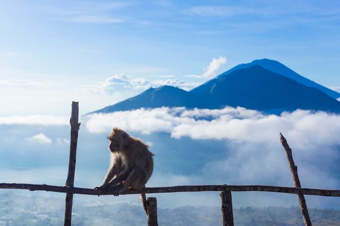 Private Mount Batur Sunrise Trekking Tour - The walk back and return transport
