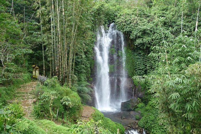 Private Munduk Waterfalls Trekking Tour - The 7:00 am Drive Into Northern Bali