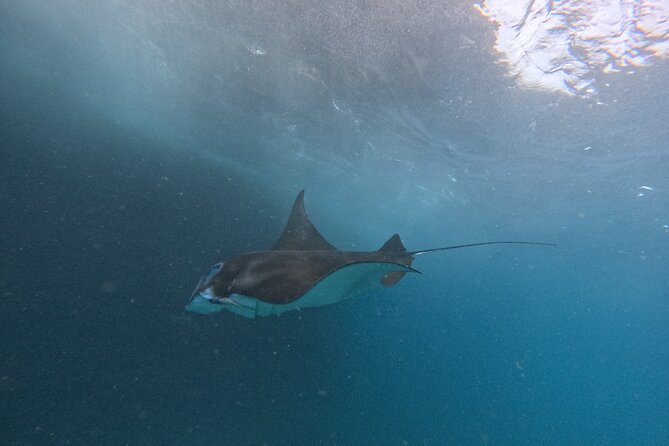 PRIVATE Nusa Penida on Boat Snorkeling & Island Tour (INCLUSIVE) - Why the private car matters on Penida