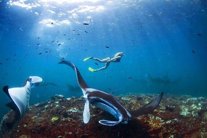 PRIVATE Nusa Penida on Boat Snorkeling & Island Tour (INCLUSIVE) - Lunch, a shower, and a useful reset