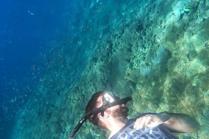 Private Nusa Penida Snorkeling Tour - Who will get the most from this tour