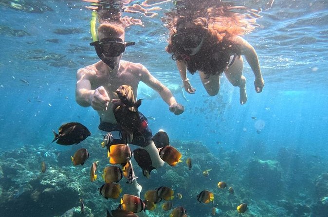 Private Snorkeling from Nusa Penida - Crystal Bay for clear water and a calmer pause
