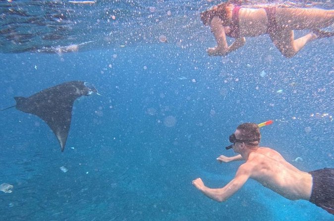 Private Snorkeling from Nusa Penida - Wall Point and the final underwater stop