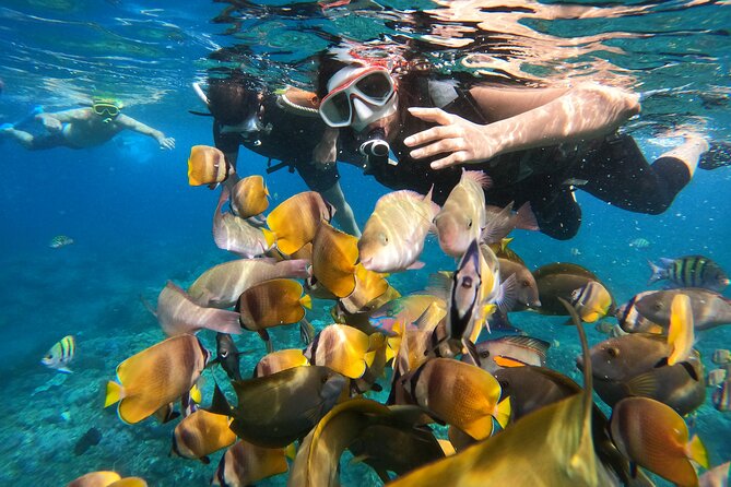 Private Snorkeling in Manta Bay, Gamat Bay & Wall at Nusa Penida - What the six-hour Nusa Penida outing is really like