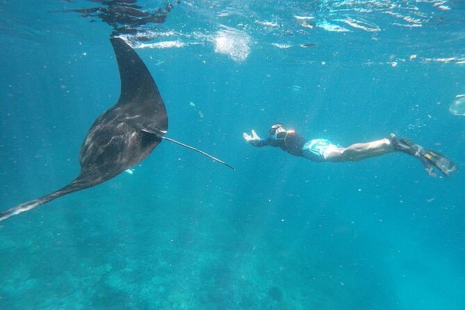 Private Snorkeling in Manta Bay, Gamat Bay & Wall at Nusa Penida - Gamat Bay: fish and a calmer second act