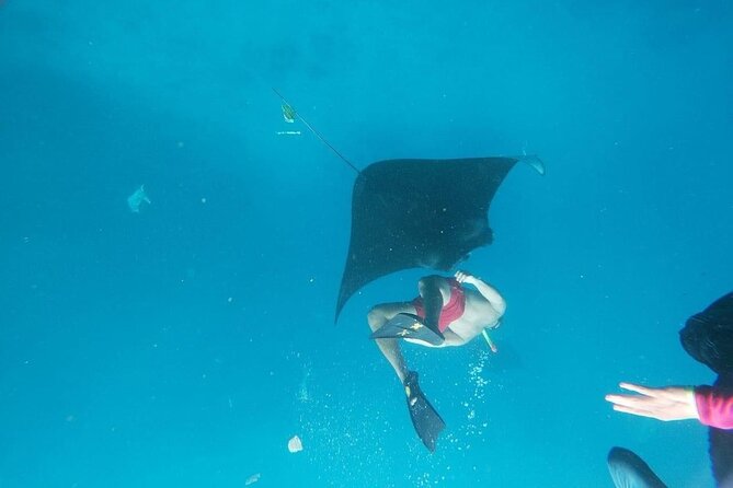 Private Snorkeling in Manta Bay, Gamat Bay & Wall at Nusa Penida - Wall Point and the shoreline nursery