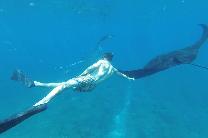 Private Snorkeling in Manta Bay, Gamat Bay & Wall at Nusa Penida - What the private boat changes