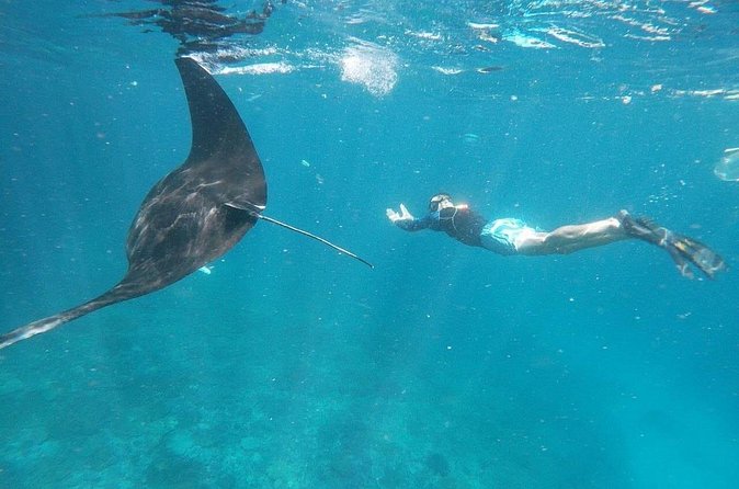 Private Snorkeling in Manta Bay, Gamat Bay & Wall at Nusa Penida - The instructor is more than an equipment hand