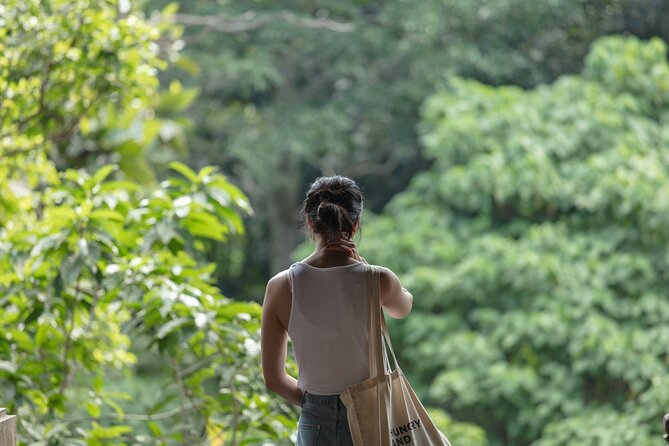 Private Tour : Bali Best Waterfalls, Temples and Monkey Forest - Lunch in Ubud keeps the day flexible
