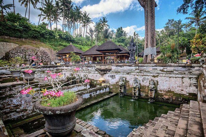 Private Tour : Bali Best Waterfalls, Temples and Monkey Forest - Sangeh Monkey Forest is more than a photo stop