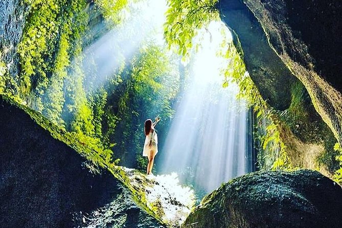 Private Tour: Bali in a Day - Tirta Empul and the Sacred Spring
