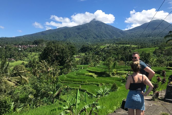 Private Tour: Bali Temple and Countryside Tour - What this private northern Bali day is really about