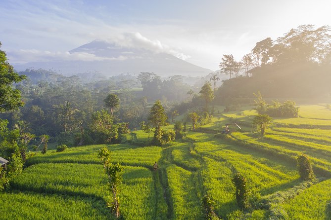 Private Tour: Bali Temple and Countryside Tour - Who will get the most from this tour?
