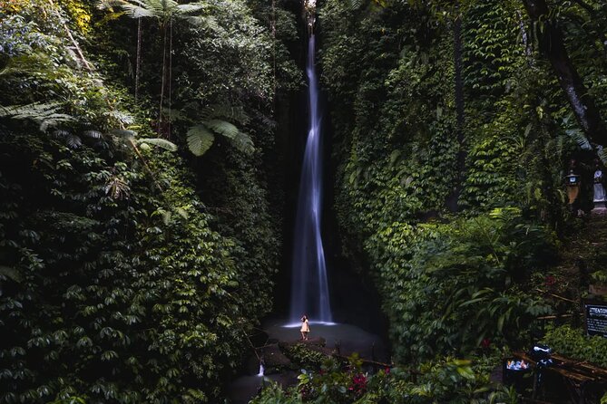 Private Tour: Bali Temples, Hidden Waterfall and Handara Gate - Handara Gate is a queue for one photograph