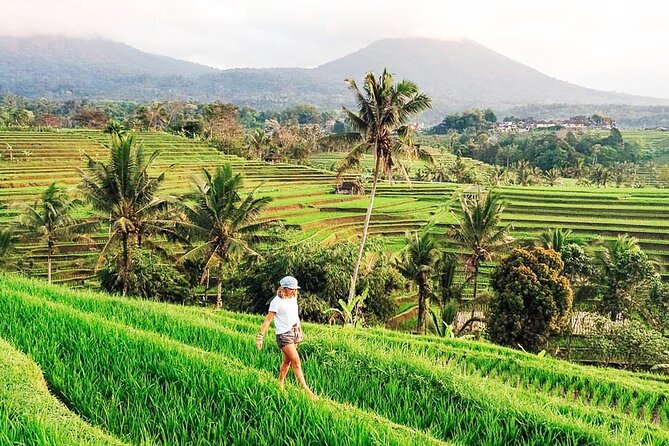 Private Tour: Bali UNESCO World Heritage Sites - Ulun Danu Bratan and Bali’s water-temple setting