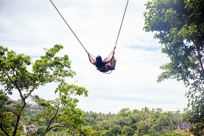 Private Tour: Bali Volcano with Jungle Swing Experience - Tegalalang Rice Terrace: a short look at Bali’s farm country