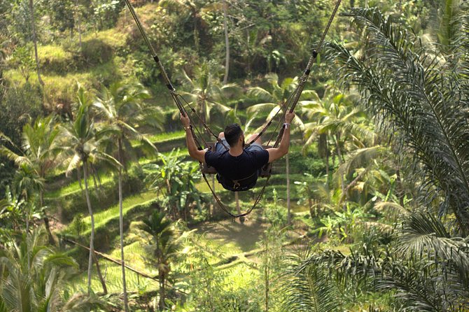 Private Tour: Bali Volcano with Jungle Swing Experience - Tegenungan Waterfall: a lively finish