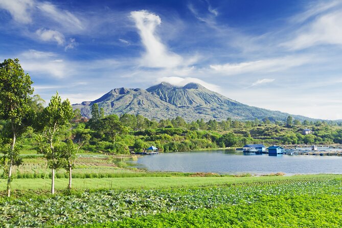 Private Tour: Bali Volcano with Jungle Swing Experience - d’Alas Swing: a photo stop with a real height factor