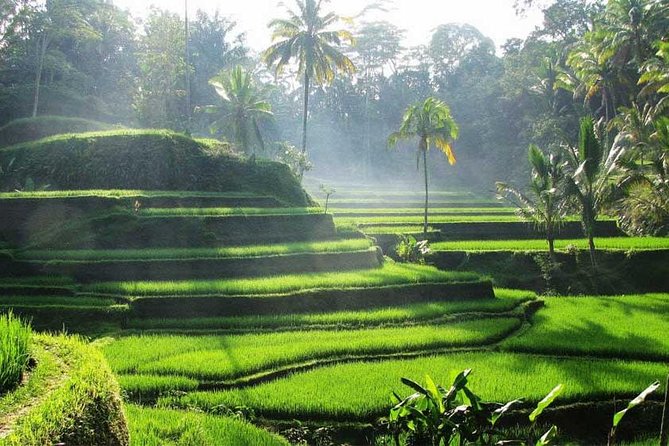 Private Tour: Batuan Temple, Tegenungan Waterfall, Elepahant Cave Free transport - Ubud Traditional Art Market: browse with a plan