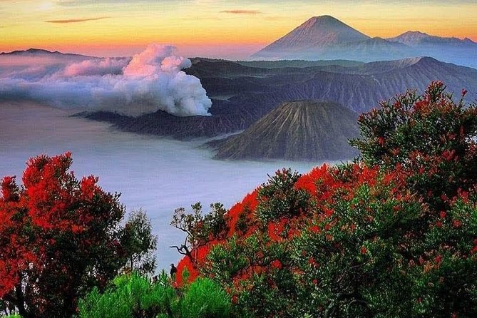 Private Tour : Bromo Ijen Tour From Bali - The midnight climb to Ijen Crater