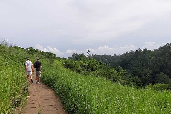 Private Tour: Campuhan Ridge Walk, Ubud Rice Terrace & Ubud Palace - Starting from Kuta at 8:00 am