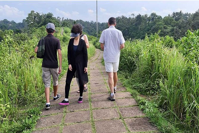 Private Tour: Campuhan Ridge Walk, Ubud Rice Terrace & Ubud Palace - Ceking Rice Terrace and the view from above