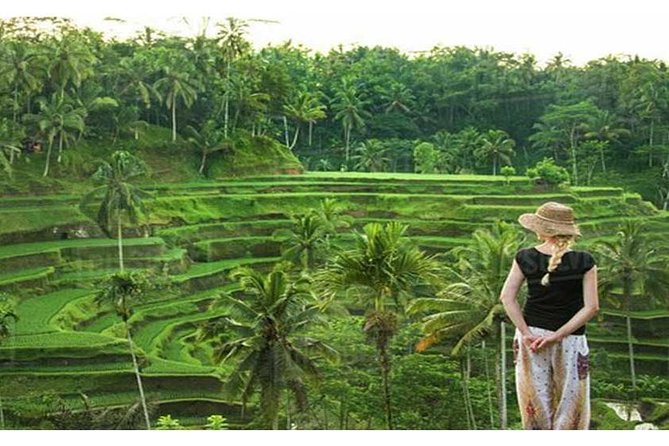 Private Tour: Campuhan Ridge Walk, Ubud Rice Terrace & Ubud Palace - Ubud Palace and the royal arts setting