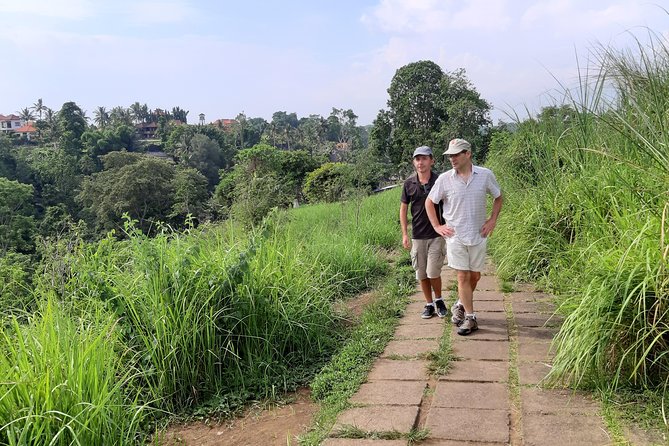 Private Tour: Campuhan Ridge Walk, Ubud Rice Terrace & Ubud Palace - Ubud Traditional Art Market, browse with a budget