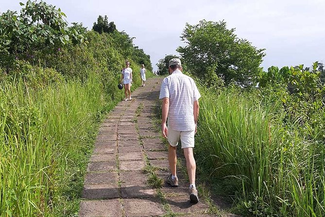Private Tour: Campuhan Ridge Walk, Ubud Rice Terrace & Ubud Palace - What the private format is worth at $25