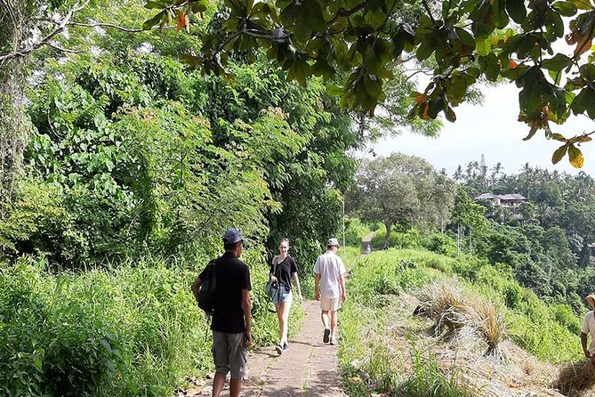 Private Tour: Campuhan Ridge Walk, Ubud Rice Terrace & Ubud Palace - Who will get the most from this Ubud day