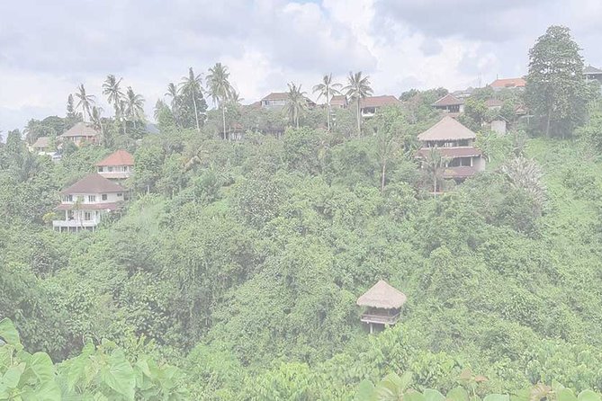 Private Tour: Campuhan Ridge Walk, Ubud Rice Terrace & Ubud Palace - Campuhan Ridge Walk, Ubud’s green morning break