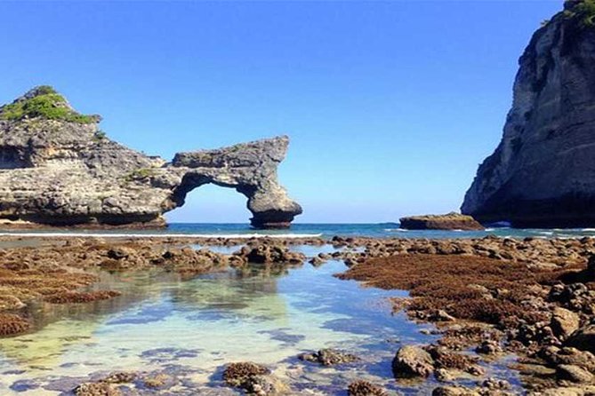 Private tour : East of Nusa Penida Day Tour All-inclusive - Molenteng Hill, Raja Lima, and the tree house