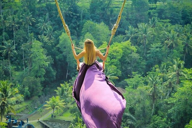 Private Tour: Gates of Heaven,Tukad Cepung Waterfall, Tirta gangga - What the $70 price covers