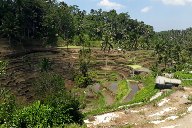 Private tour in Ubud country side - Why this private Ubud day works from Kuta