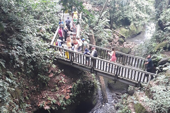 Private tour in Ubud country side - Happy Swing Bali over the rice fields