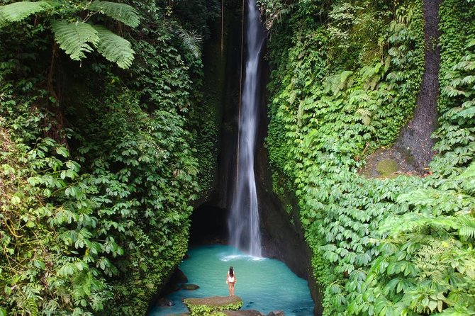 Private Tour: Leke-Leke Waterfall, Handara gate & Iconic Temples - What this North Bali day trip is really like