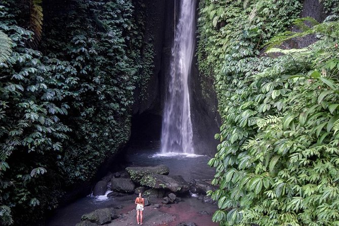 Private Tour: Leke-Leke Waterfall, Handara gate & Iconic Temples - How the private car changes the day