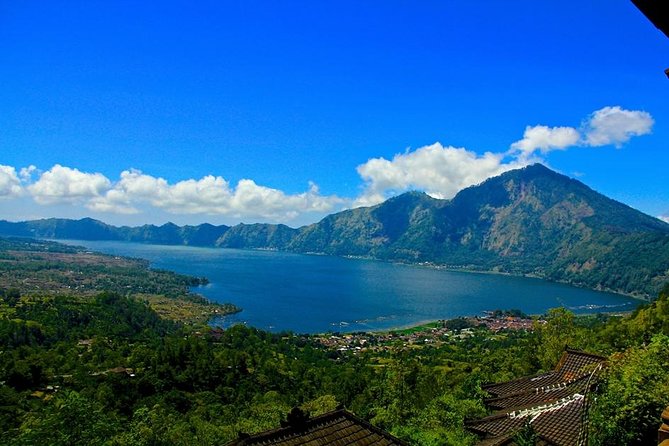 Private Tour : Mt. Batur View, Rice Terrace, Waterfall & More. - Ubud Traditional Art Market as the final stop