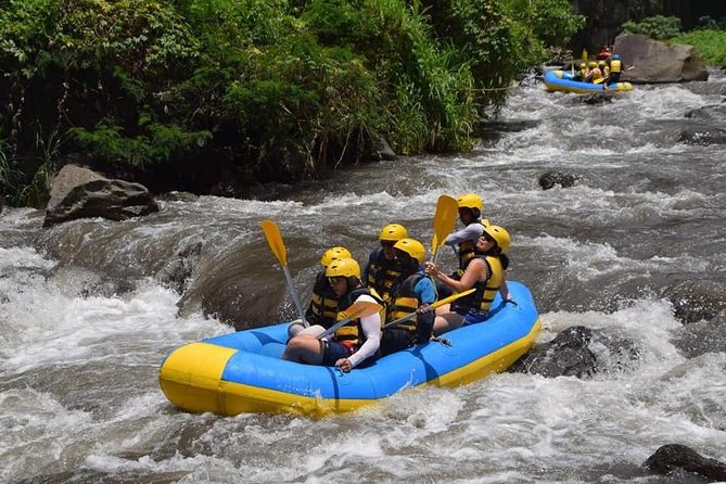 Private Tour Rafting Uluwatu Kecak Dance Sunset and Dinner in Jimbaran Bay - Who should book this experience
