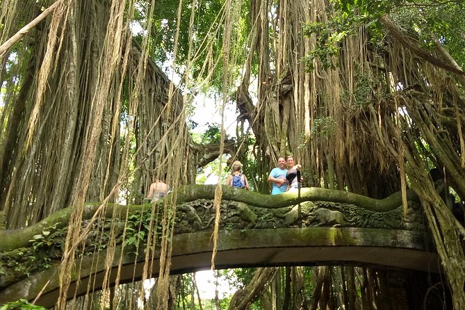 Private Tour to Sumampan Waterfall, Monkey forest, Rice terraces and Swing - Meeting the Macaques at the Sacred Monkey Forest
