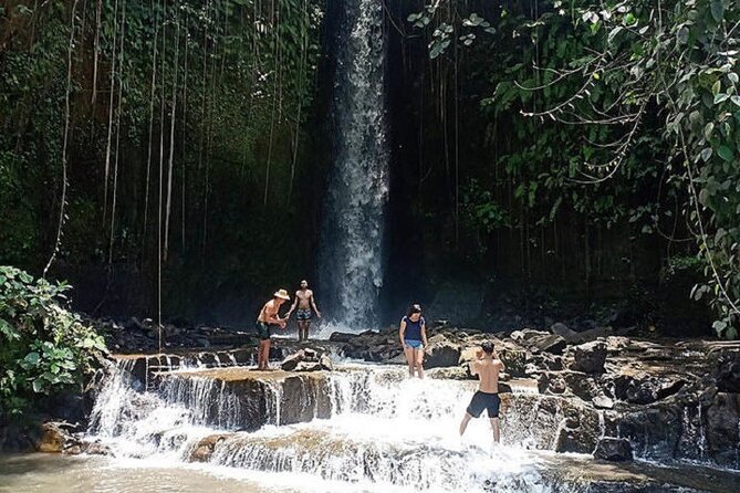 Private Tour to Sumampan Waterfall, Monkey forest, Rice terraces and Swing - Lunch at D Alas Warung