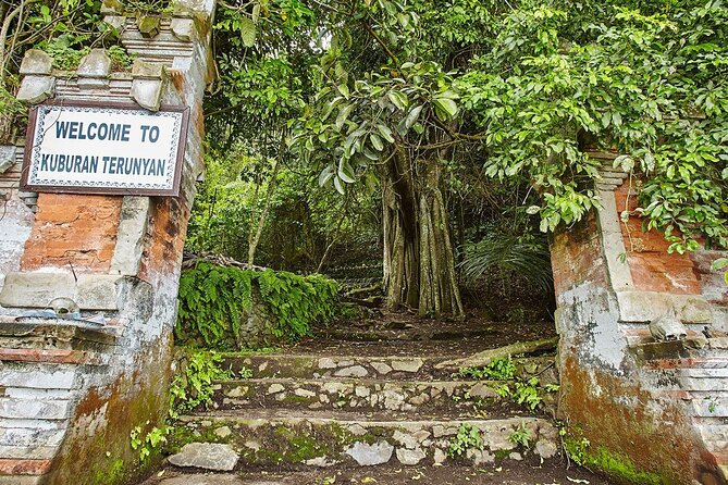 Private Tour to Trunyan Village "Skull Island of Bali" - Lunch in Kintamani with Mount Batur views