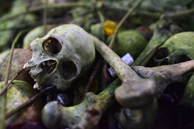 Private Tour to Trunyan Village "Skull Island of Bali" - The trip from Ubud to Lake Batur