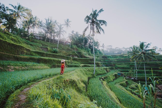 Private Tour: Ubud Highlights - What the private guide adds