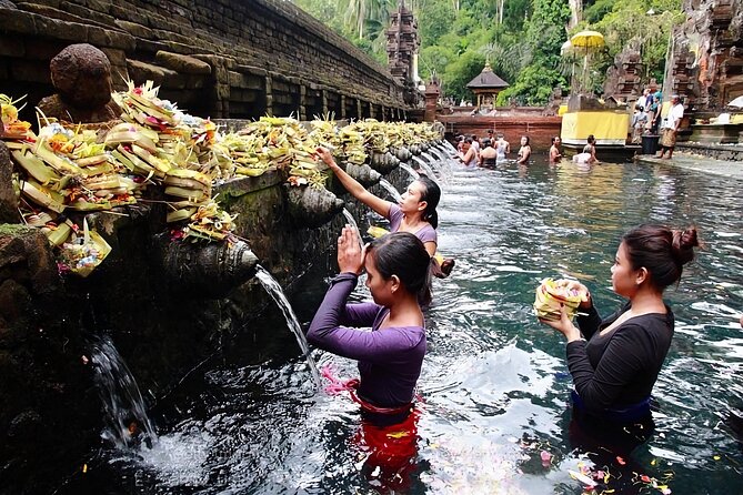 Private Tour Ubud: Swing at Rice Field with Temple and Waterfall - What the private format is really worth