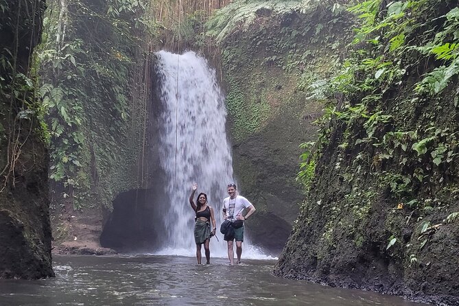 Private Tour Ubud: Swing at Rice Field with Temple and Waterfall - Reading the rice fields at Tegalalang
