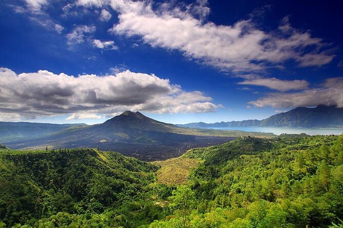 Private Tour: Waterfall, Kintamani Volcano, Ubud Tour with Lunch - Why this Bali day tour works