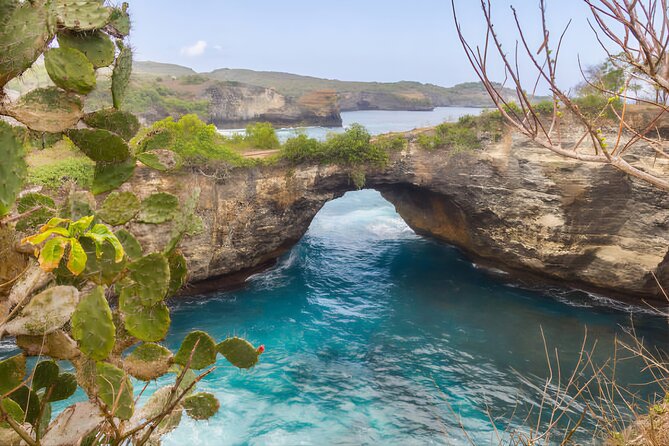 Private Tour West Nusa Penida with T-Rex Beach - The Molateng Treehouse question