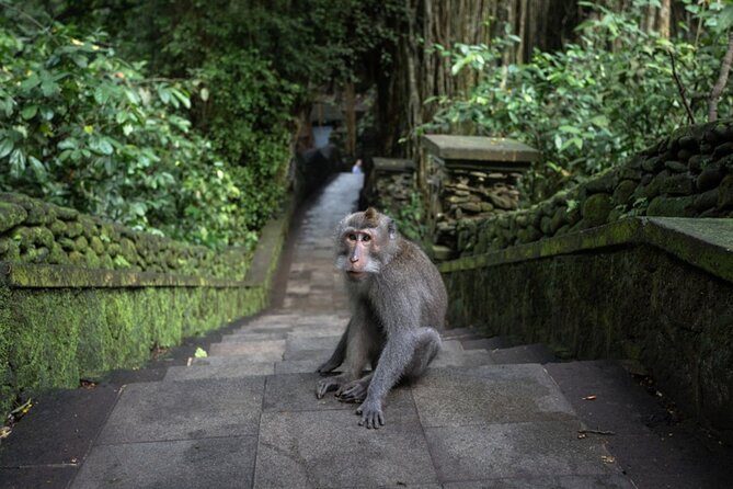 Private Ubud Day Tour Waterfalls Sacred Monkeys and Rice Fields - Watching the carvers at Mas