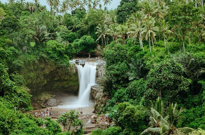 Private Ubud Day Tour Waterfalls Sacred Monkeys and Rice Fields - Tegenungan Waterfall and the walk down